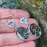 Blue Chalcedony, Ammonite with Abalone Inlay and Sterling Silver Earrings