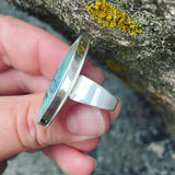 Opalized Wood and Sterling Silver Ring