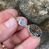 Blue Chalcedony, Ammonite with Abalone Inlay and Sterling Silver Earrings