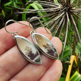 Dendritic Agate and Sterling Silver Earrings