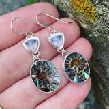 Blue Chalcedony, Ammonite with Abalone Inlay and Sterling Silver Earrings