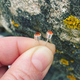 Lab Grown Padparadscha Sapphire and Sterling Silver Earrings