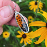 Montana Agate and Sterling Silver Earrings