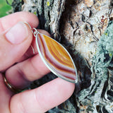 Sierra Jasper and Sterling Silver Earrings