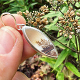 Dendritic Agate and Sterling Silver Earrings