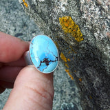 Golden Hills Turquoise and Sterling Silver Ring