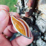 Sierra Jasper and Sterling Silver Earrings