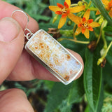 Orbicular Jasper and Sterling Silver Earrings