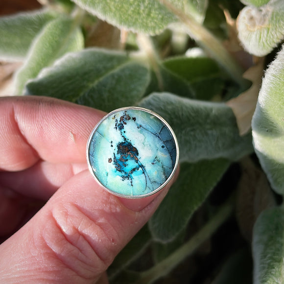 Indonesian Opalized Wood and Sterling Silver Ring