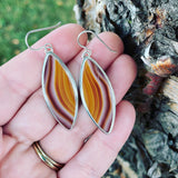Sierra Jasper and Sterling Silver Earrings