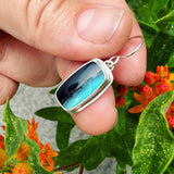 Opalized Wood and Sterling Silver Earrings