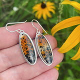 Montana Agate and Sterling Silver Earrings