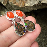 Faceted Carnelian, Ammonite with Ammolite Inlay and Sterling Silver Earrings