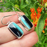 Opalized Wood and Sterling Silver Earrings