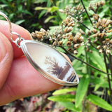 Dendritic Agate and Sterling Silver Earrings