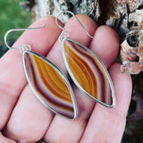 Sierra Jasper and Sterling Silver Earrings