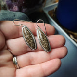 Fossil Oolite and Sterling Silver Earring