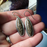 Fossil Oolite and Sterling Silver Earring