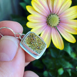 Rainbow Pyrite and Sterling Silver Earrings