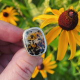 Montana Agate and Sterling Silver Ring