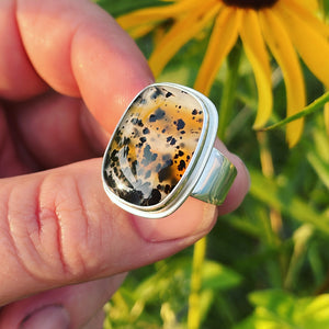 Montana Agate and Sterling Silver Ring