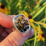 Montana Agate and Sterling Silver Ring