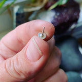 Sterling Silver Dot Earrings