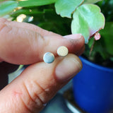 Sterling Silver Dot Earrings