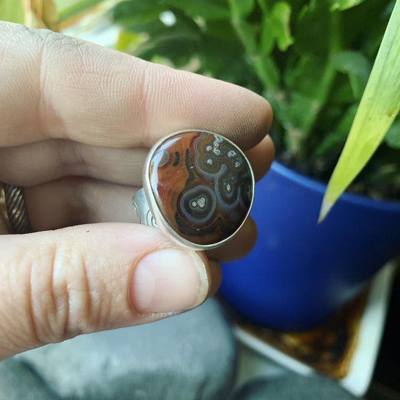 Condor Agate and Sterling Silver Ring