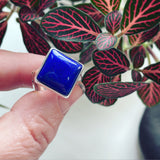 Lapis Lazuli and Sterling Silver Ring