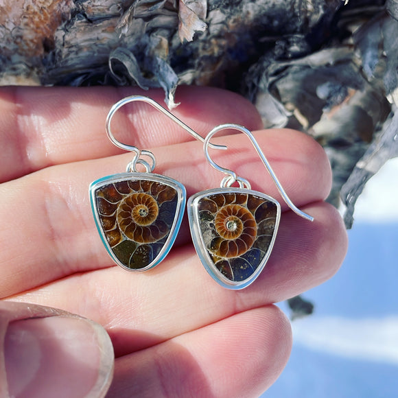 Fossilized Ammonite and Sterling Silver Earrings