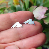 Lake Superior Post Earrings